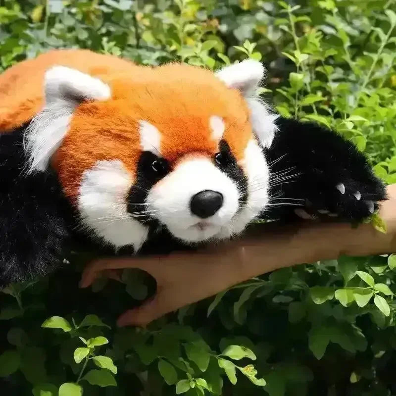Chongker Realistic Red Panda Plush - Main Image