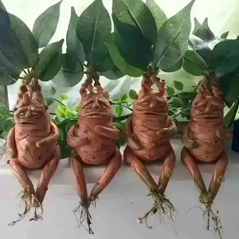 Realistic Mandrake Pullout Plant