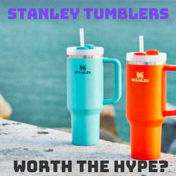 Why Does Everyone Want a Stanley Tumbler? - Bear Hugs