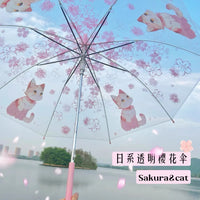 Fashion Cherry Blossoms Umbrella PN6792 - Bear Hugs