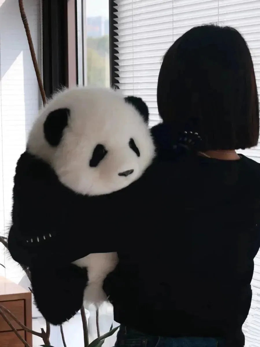 Panda 🐼 - Bear Hugs