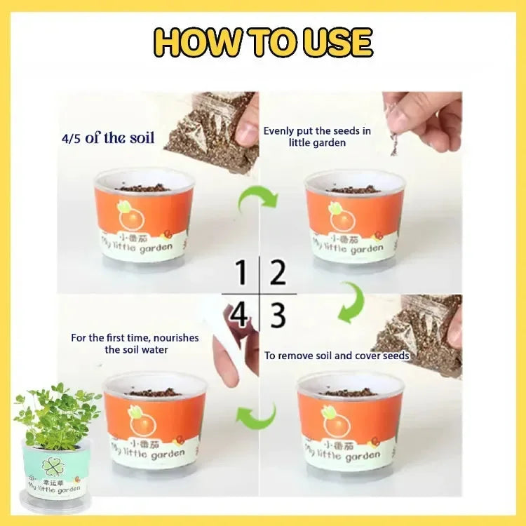 My Little Garden DIY Indoor Plant Kit
