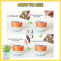 My Little Garden DIY Indoor Plant Kit