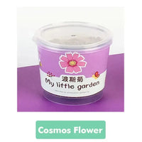 My Little Garden DIY Indoor Plant Kit