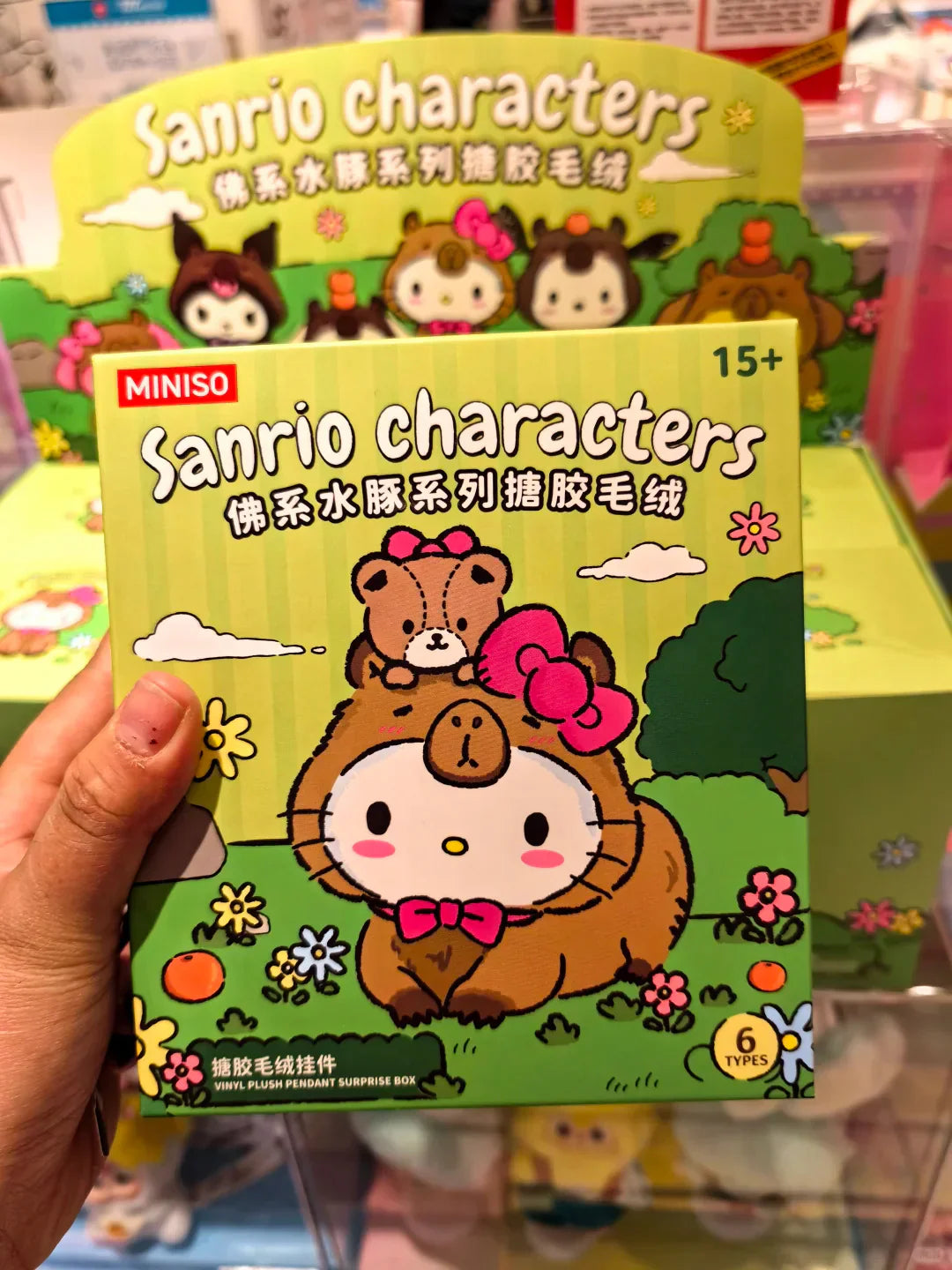 Sanrio Woodland Wonders Capybara Plush Blind Box