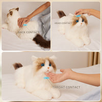 MateCat1.1 Robot Cat – Companion Toy for Sensory Comfort - Bear Hugs