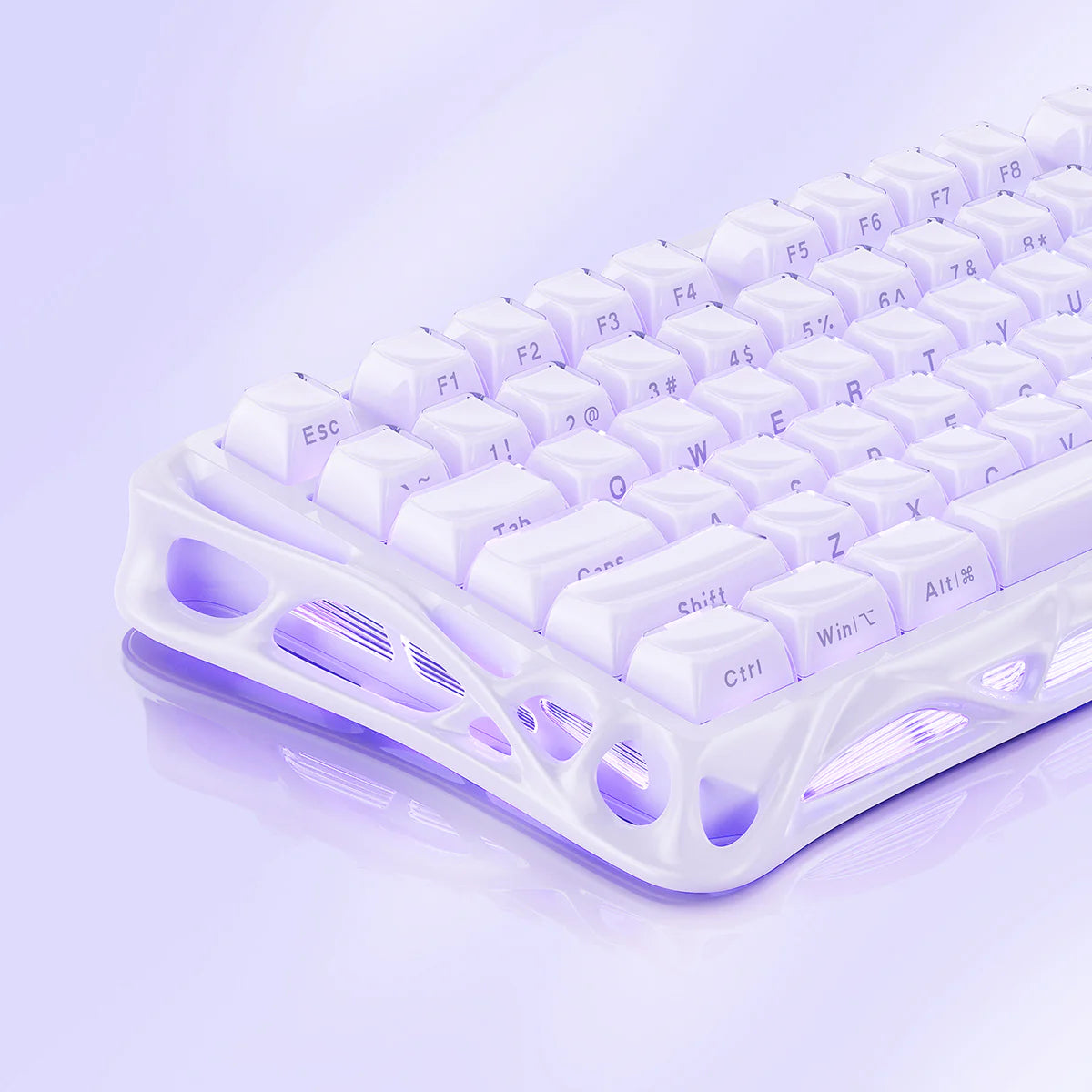 Mercury V75 Special Edition - Lavender Purple (US Only) - Bear Hugs