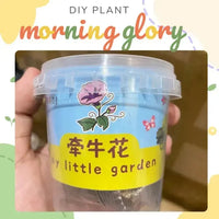 My Little Garden DIY Indoor Plant Kit