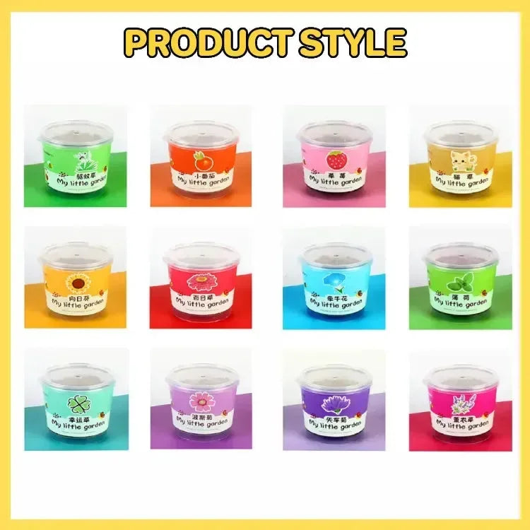 My Little Garden DIY Indoor Plant Kit