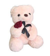 Valentine Rose Teddy Bear (30 cm)