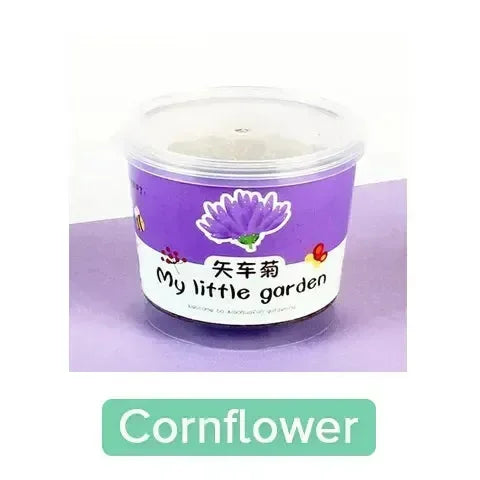 My Little Garden DIY Indoor Plant Kit