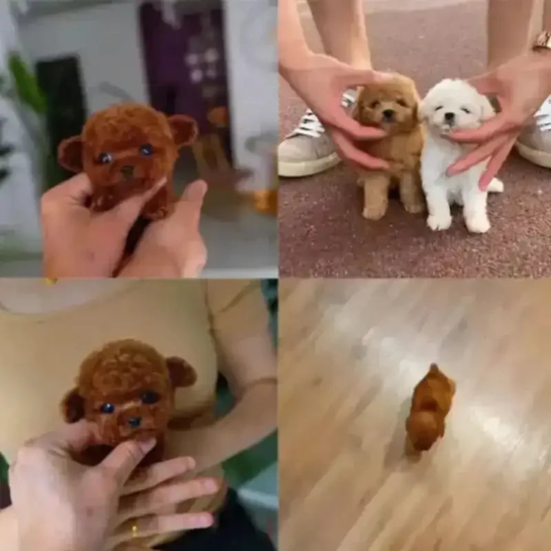 Fuzzy Interactive Robot Puppy Doll