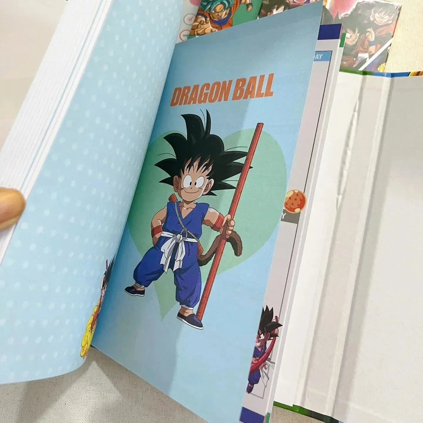 Dragon Ball Z-Fighter Log A5 Diary