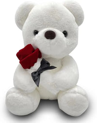 Valentine Rose Teddy Bear (30 cm)