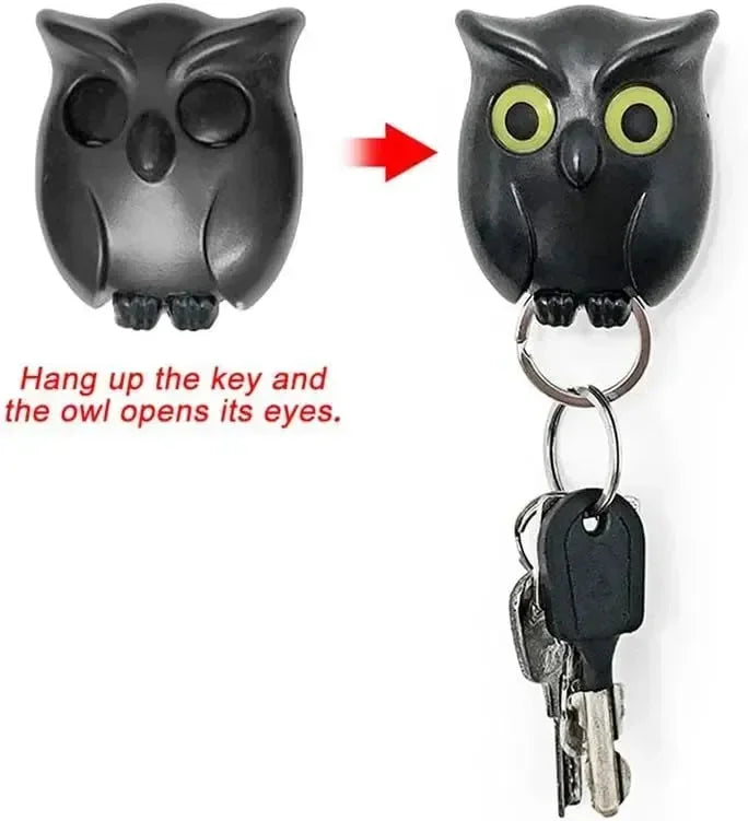 Wise Wing Owl Wall Hanger Hook