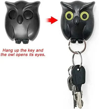 Wise Wing Owl Wall Hanger Hook