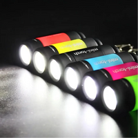 Bright Buddy Waterproof Torch Keychain