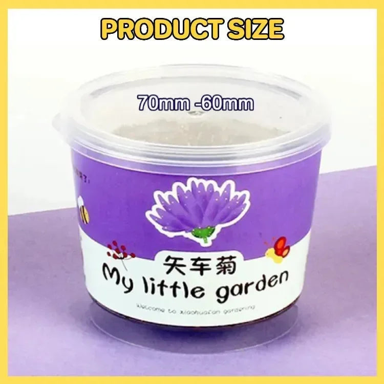 My Little Garden DIY Indoor Plant Kit