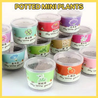 My Little Garden DIY Indoor Plant Kit