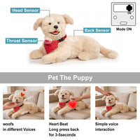 Percy Robot Cat - Interactive Emotional Support Pet Weighted - Bear Hugs