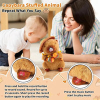 Musical Singing and Dancing Capybara Plushies (20 cm)