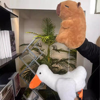Happy capybara😍 - Bear Hugs
