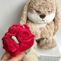 Bunny Plush Toy💐 - Bear Hugs