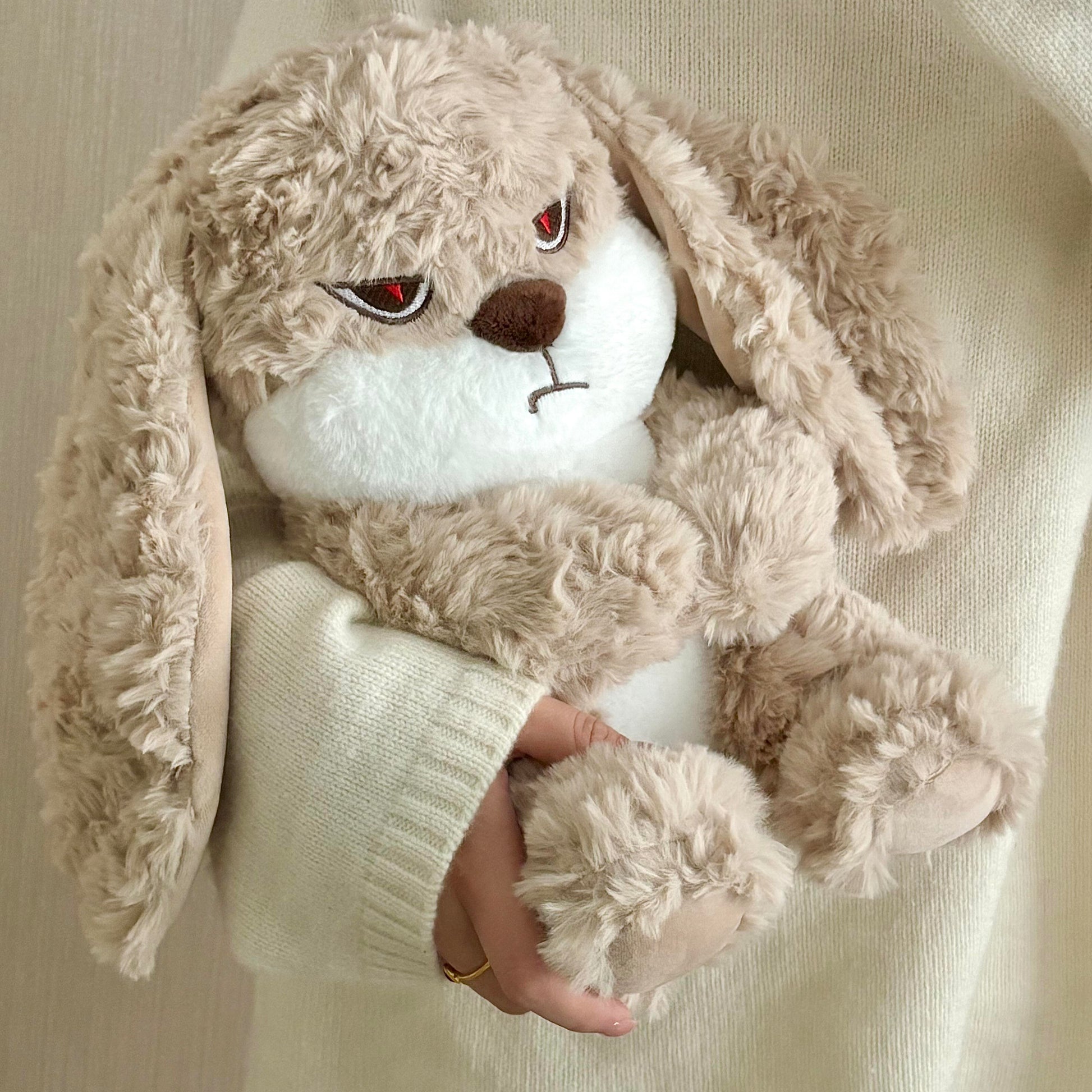 Bunny Plush Toy💐 - Bear Hugs