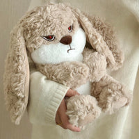 Bunny Plush Toy💐 - Bear Hugs