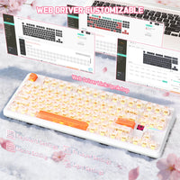 ATTACK SHARK X87 ULTRA Wireless Mechanical Keyboard With 8K Wireless Receiver - Bear Hugs