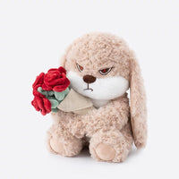 Bunny Plush Toy💐 - Bear Hugs