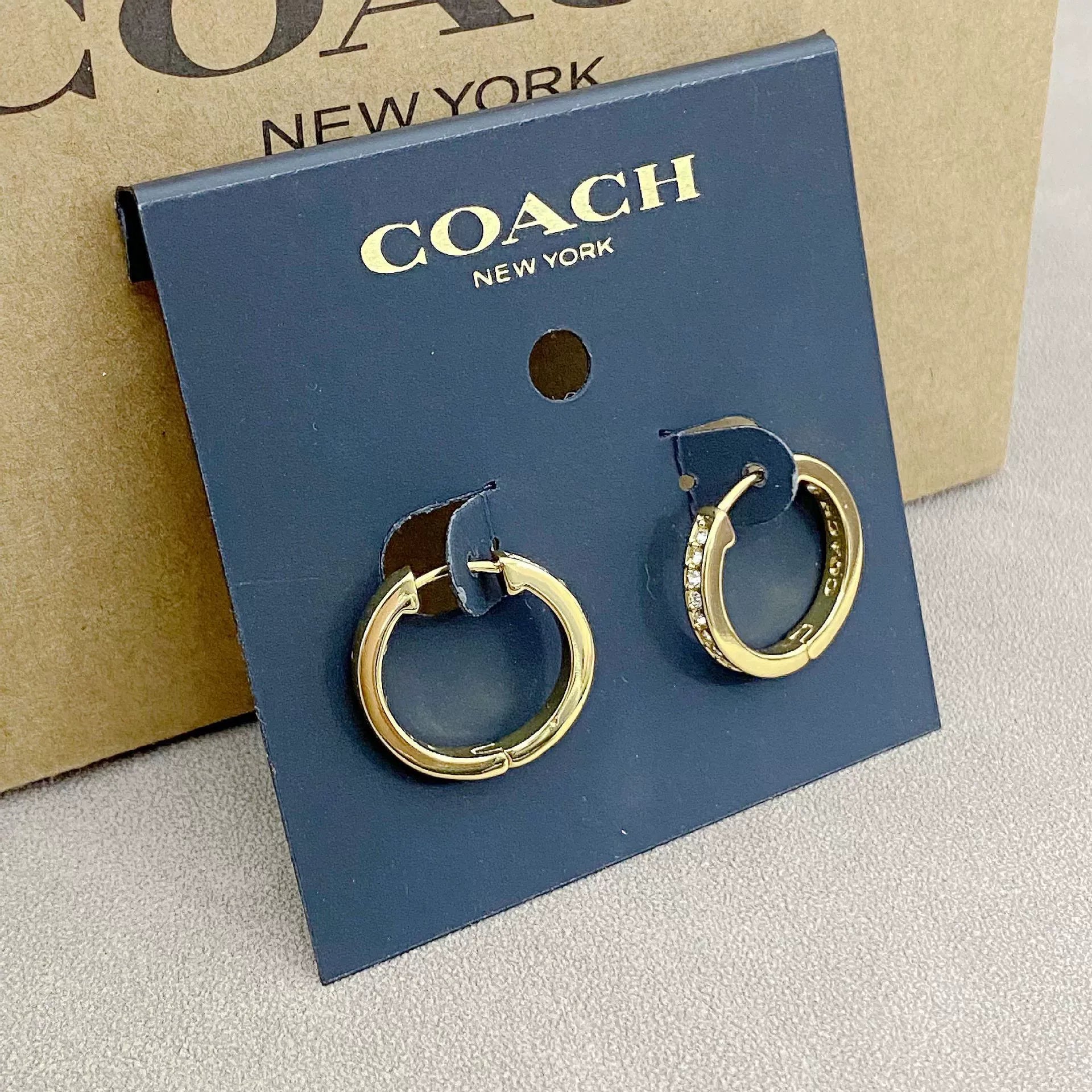 Trainer Luxe Celestial Pave Hoop Earrings