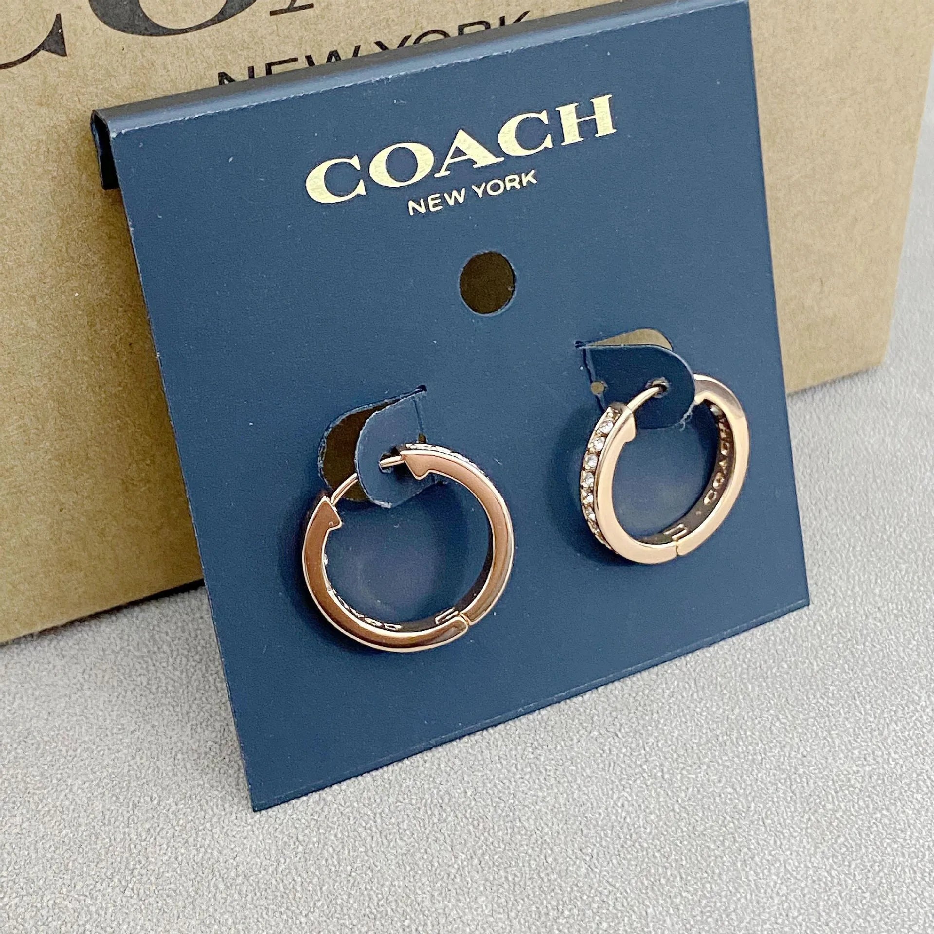 Trainer Luxe Celestial Pave Hoop Earrings