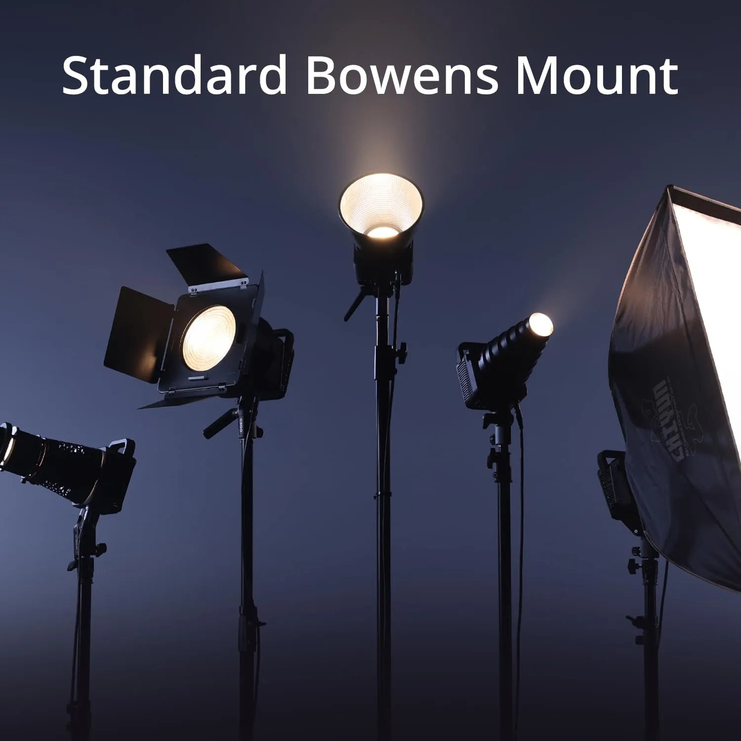 ZHIYUN MOLUS G300 Professional Light