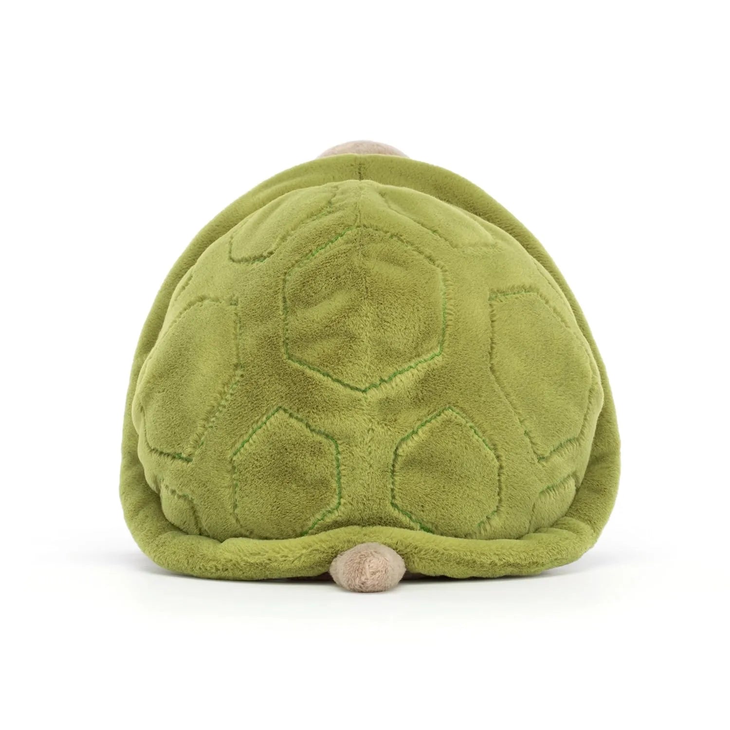JC's Timmy Turtle Plush Toy (28 cm)