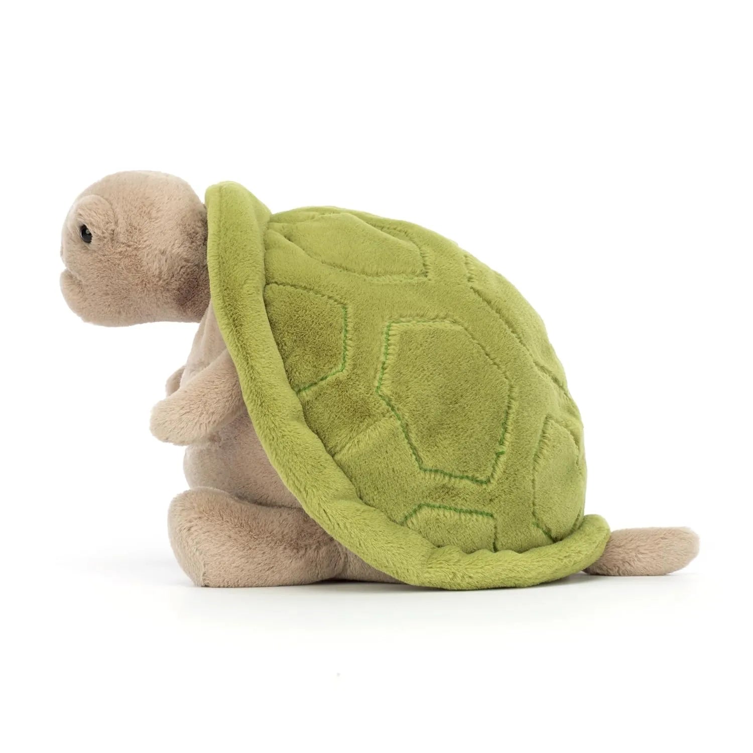 JC's Timmy Turtle Plush Toy (28 cm)