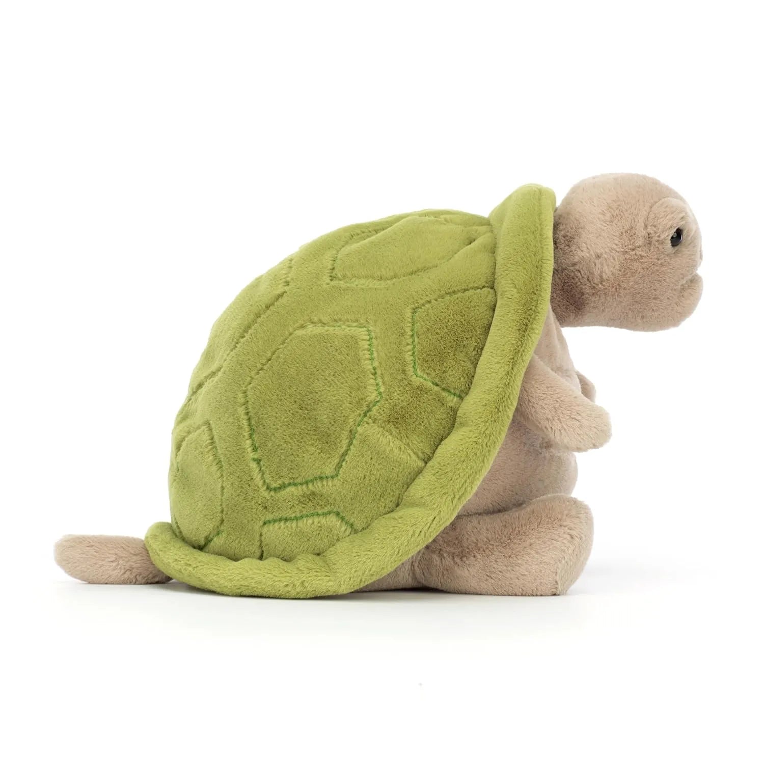 JC's Timmy Turtle Plush Toy (28 cm)