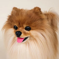 Lifelike Pomeranian Dog Plush Toy (40 cm) - Bear Hugs