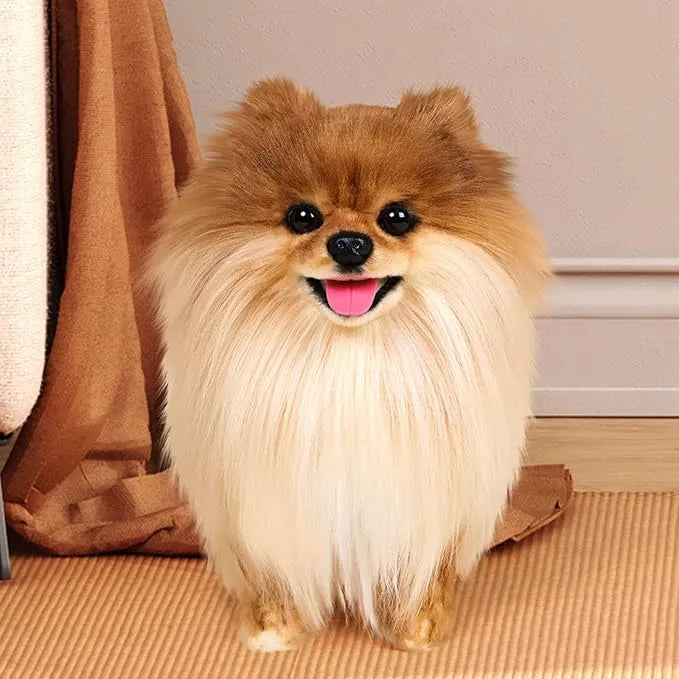 Lifelike Pomeranian Dog Plush Toy (40 cm) - Bear Hugs