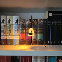 Reader Ghost Bookshelf Lantern