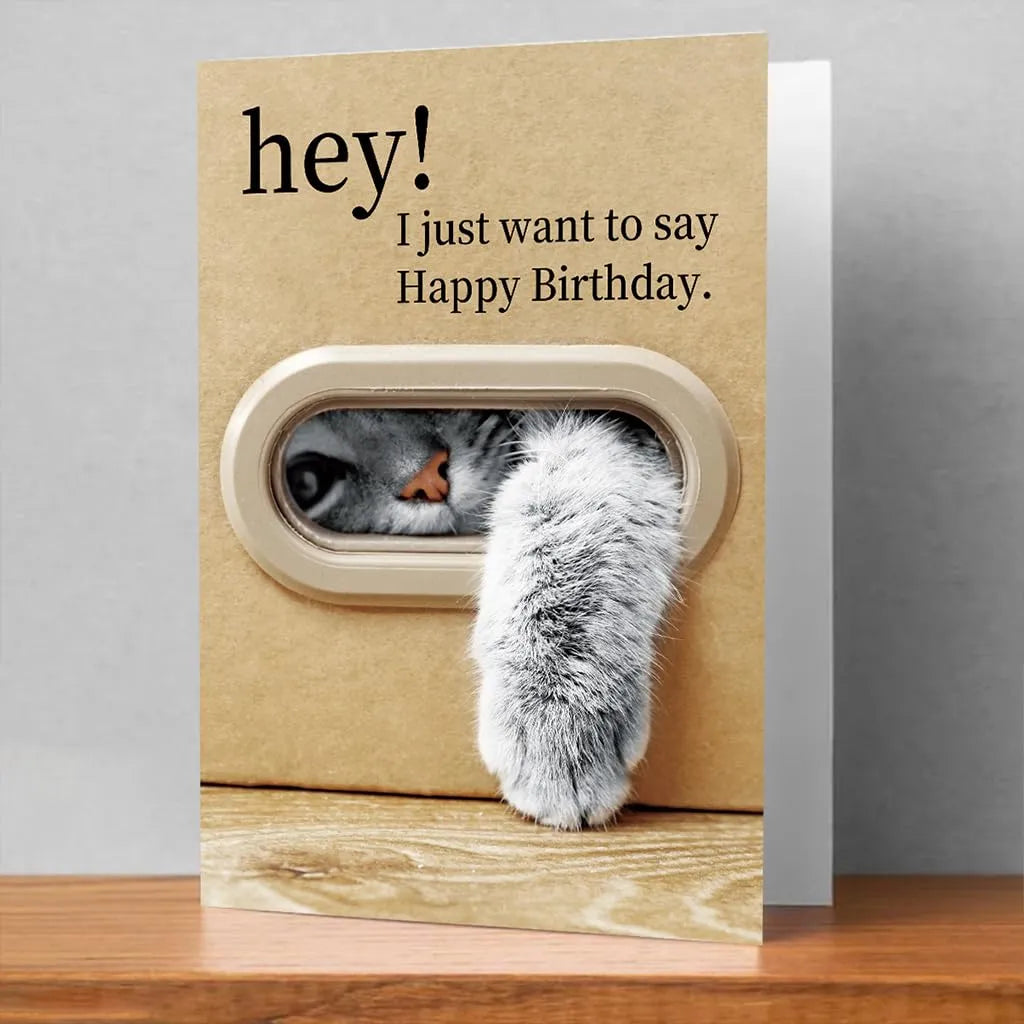Pop-Out 3D Cat Mailbox Birthday Card with Envelope
