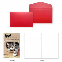Pop-Out 3D Cheeky Cat Flap Birthday Card