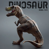 DN Model Realistic Tyrannosaurus Rex Figure (17 cm)