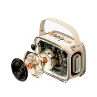 Divoom SongBird Ultra Powerful Karaoke Bluetooth Speaker