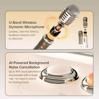 Divoom SongBird Ultra Powerful Karaoke Bluetooth Speaker