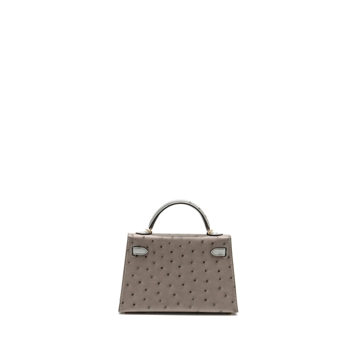 Luxe Horse Carriage Mini Kelly II Handbag