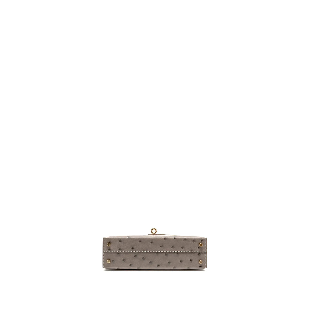 Luxe Horse Carriage Mini Kelly II Handbag
