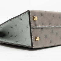 Luxe Horse Carriage Mini Kelly II Handbag