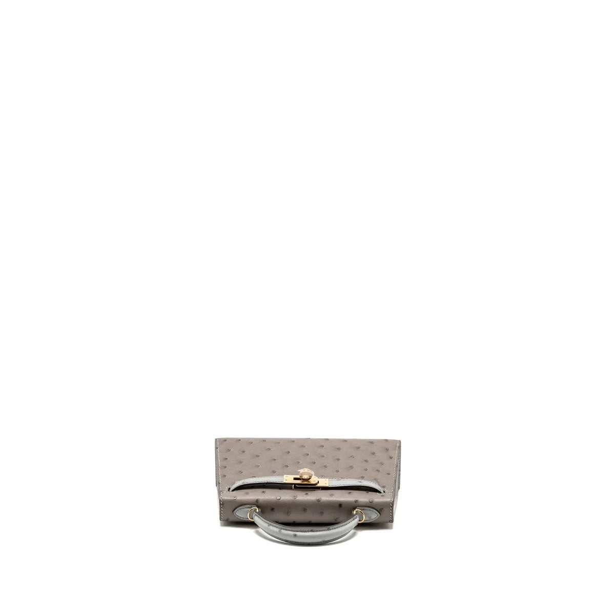 Luxe Horse Carriage Mini Kelly II Handbag