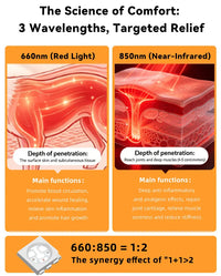 Anredar Elevated Red Light Pet Therapy Bed